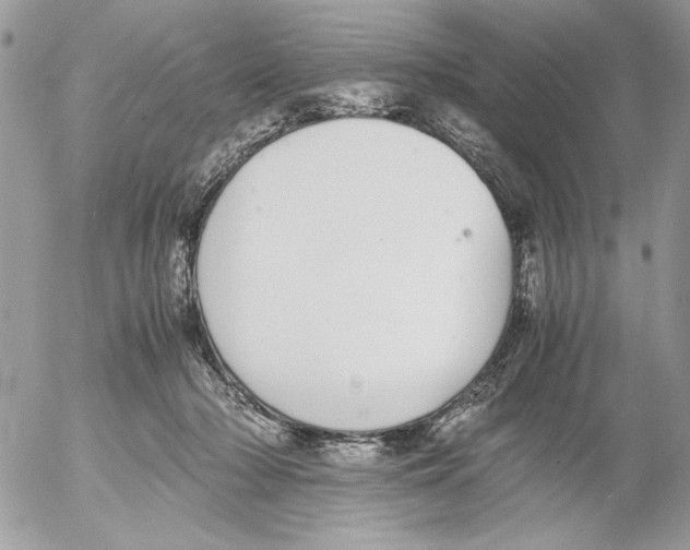 X0000052580318200507292038