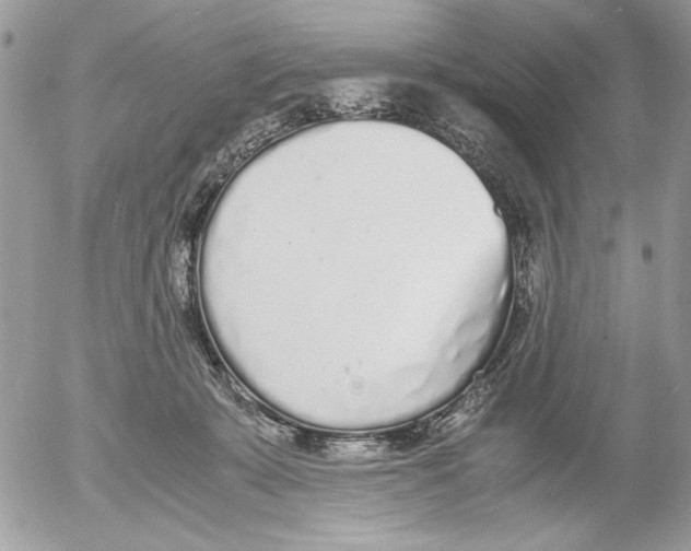 X0000052580319200507292038