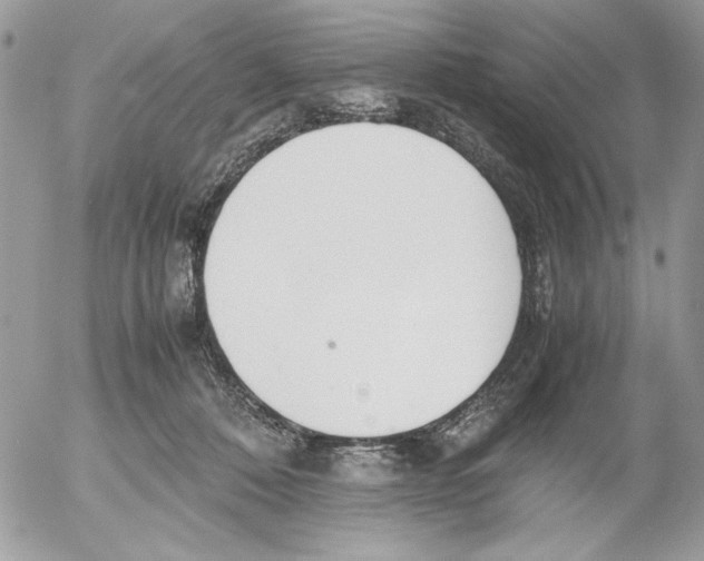 X0000052580320200507292038