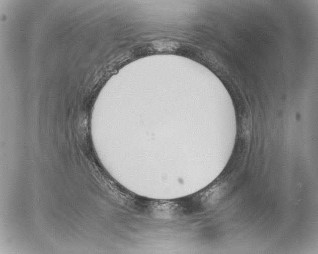 X0000052580321200507292038