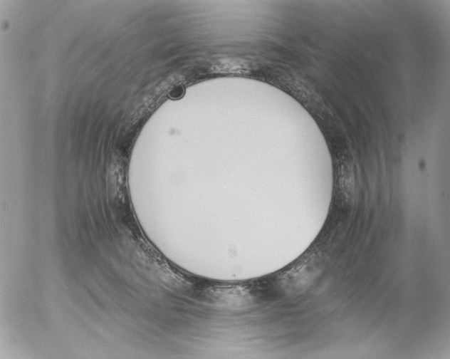 X0000052580322200507292038