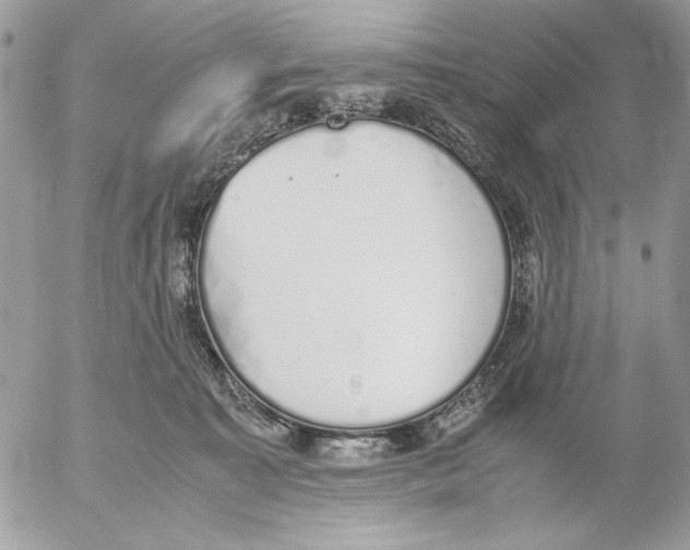 X0000052580323200507292038