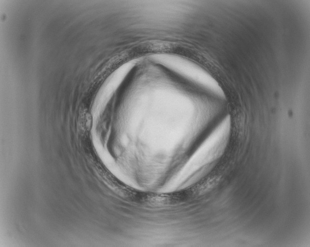 X0000052580325200507292038