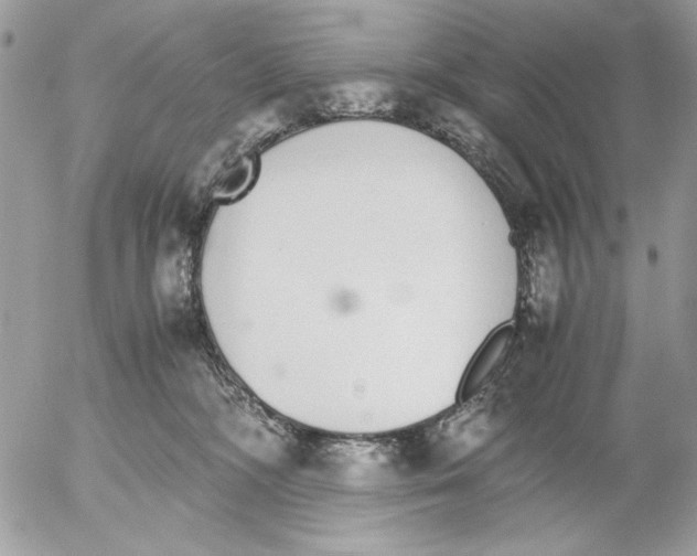 X0000052580326200507292038