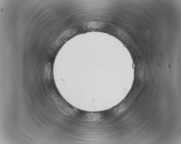 X0000052580328200507292038