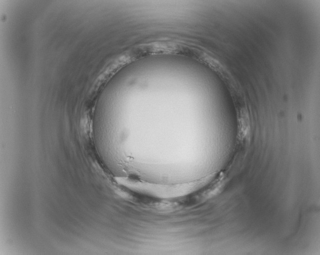 X0000052580333200507292038