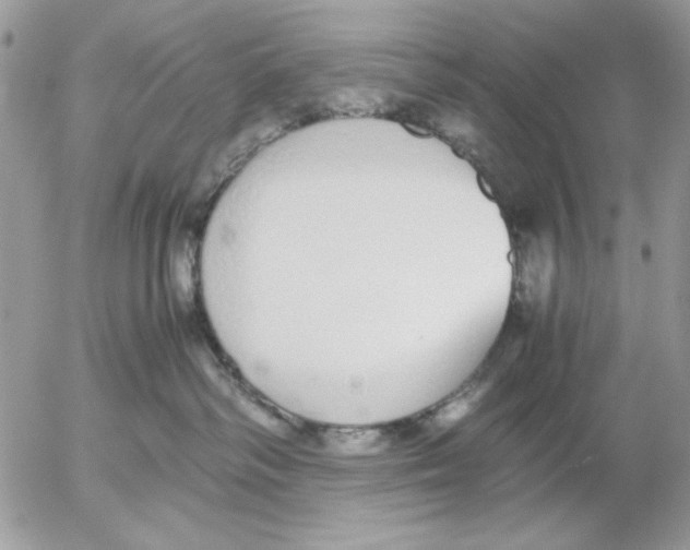 X0000052580334200507292038