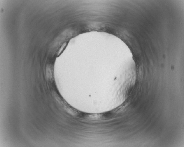 X0000052580335200507292038