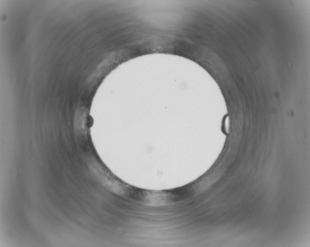 X0000052580336200507292038