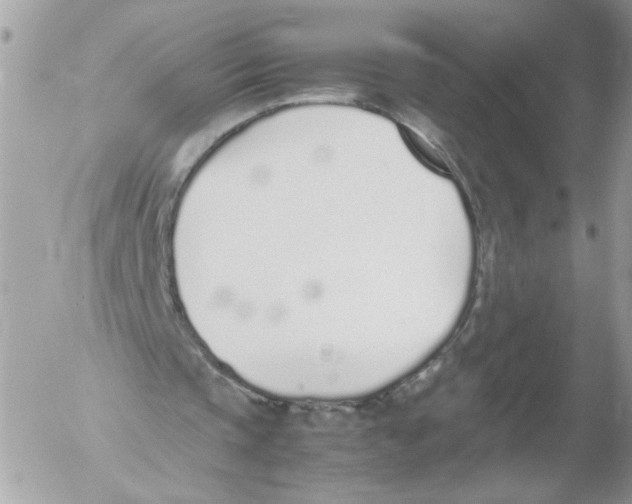 X0000052580337200507292037