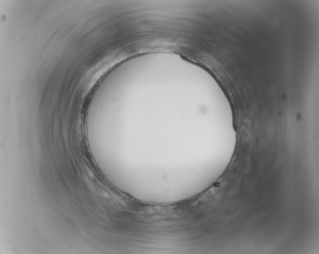 X0000052580338200507292037