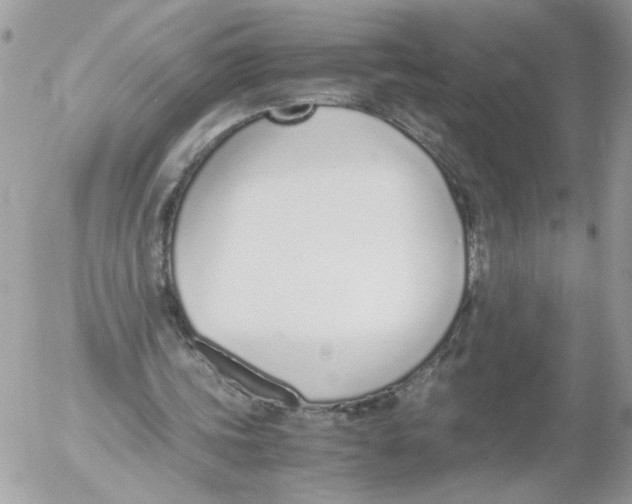 X0000052580339200507292037