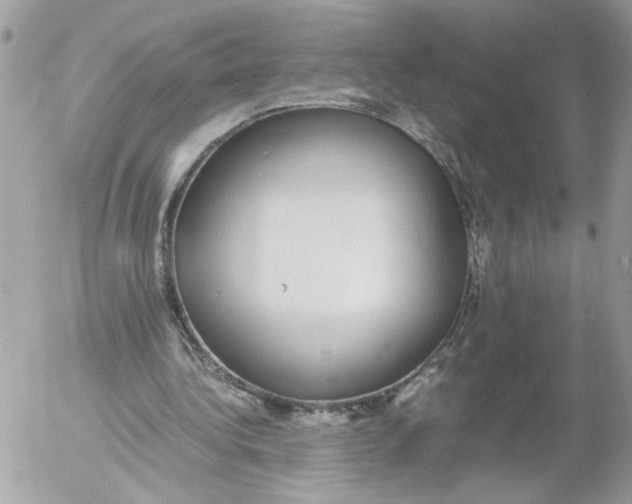 X0000052580340200507292037