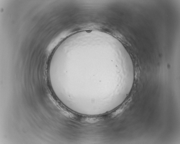 X0000052580341200507292037