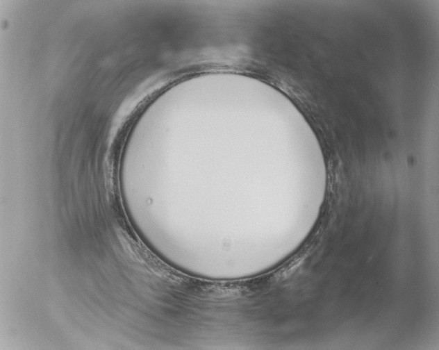 X0000052580343200507292037