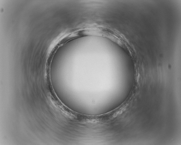 X0000052580344200507292037