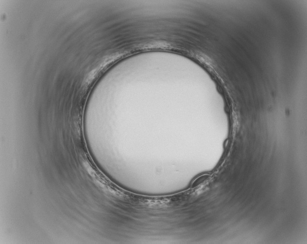 X0000052580345200507292037