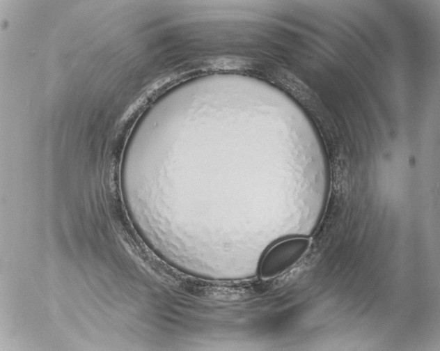 X0000052580347200507292038