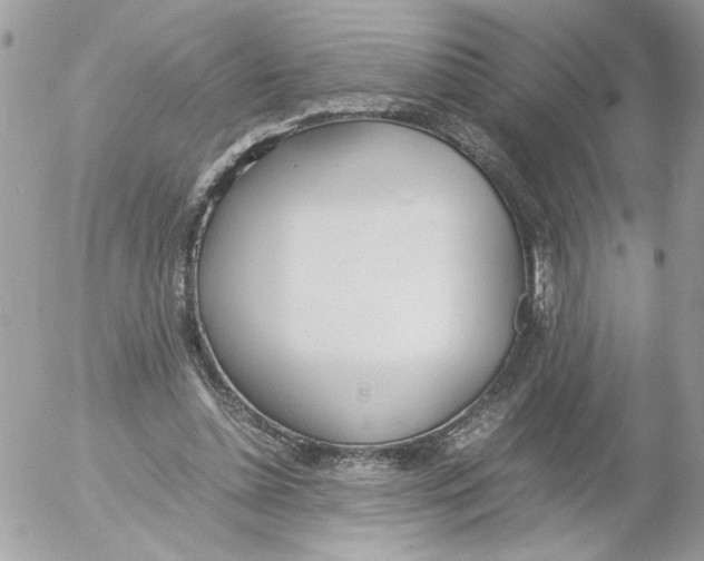 X0000052580348200507292038