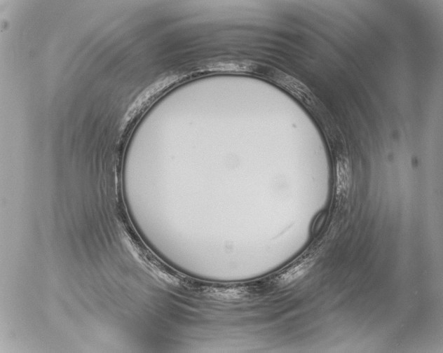 X0000052580349200507292038