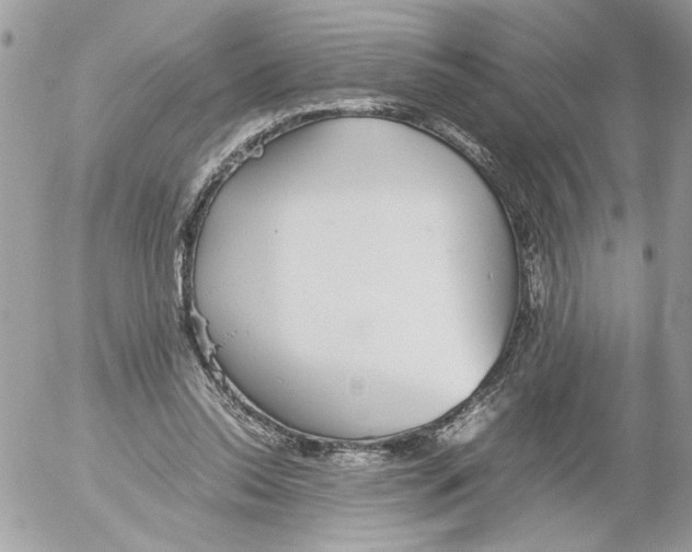 X0000052580350200507292038