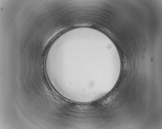 X0000052580351200507292038