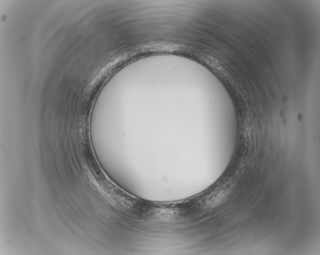 X0000052580352200507292038