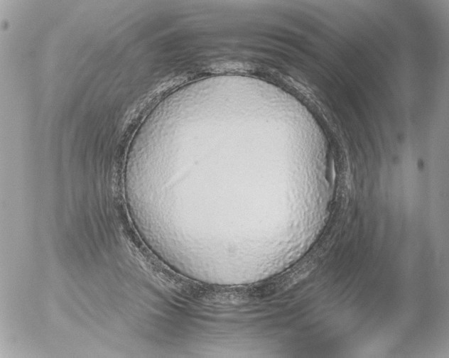 X0000052580353200507292038