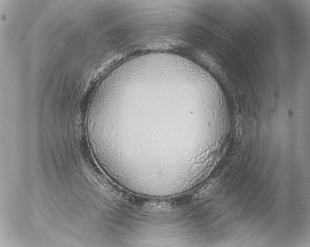 X0000052580354200507292038