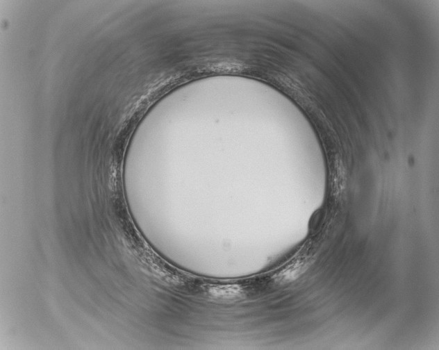 X0000052580355200507292038