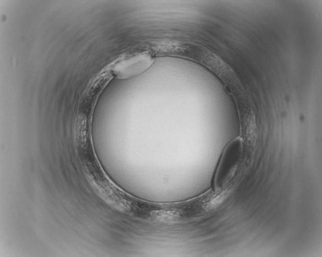 X0000052580356200507292038