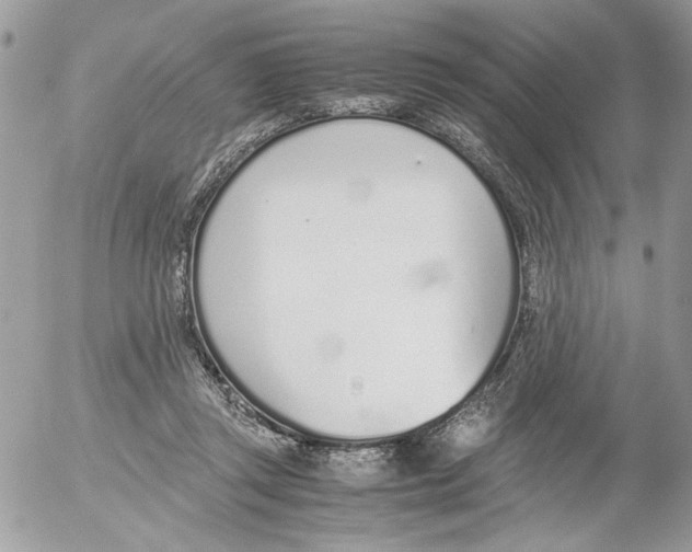 X0000052580357200507292038