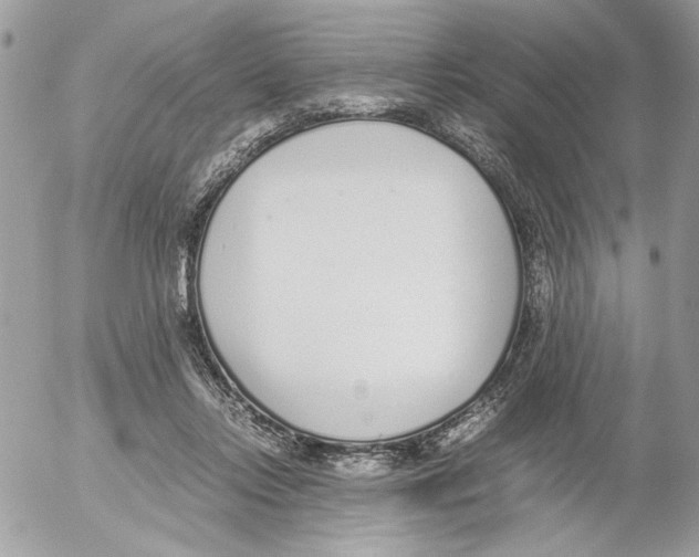 X0000052580358200507292038