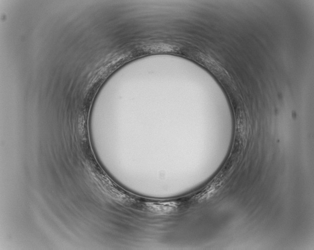 X0000052580359200507292038