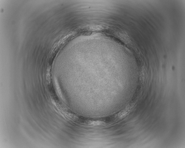 X0000052580360200507292038