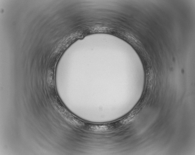 X0000052580361200507292038