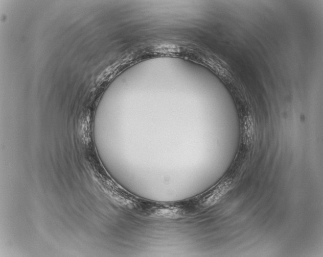 X0000052580364200507292038