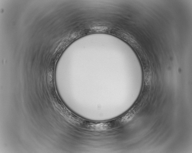 X0000052580365200507292038