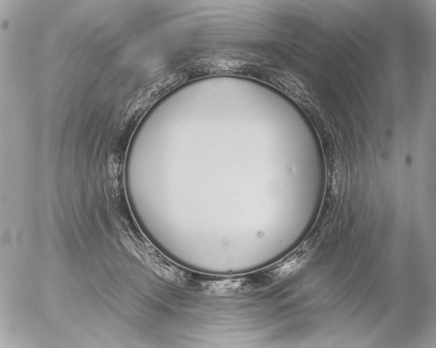 X0000052580366200507292038