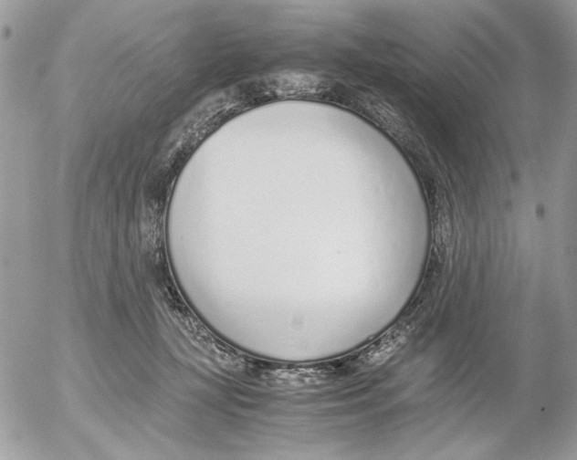 X0000052580367200507292038