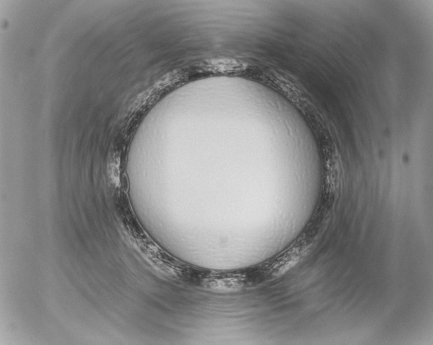 X0000052580368200507292038