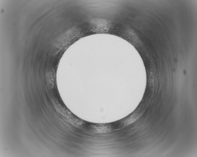 X0000052580370200507292038