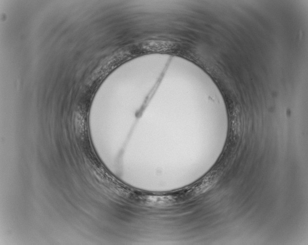 X0000052580371200507292038