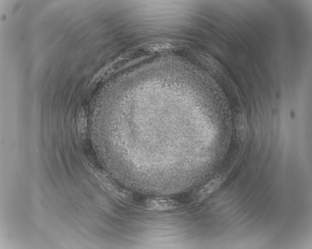 X0000052580372200507292038