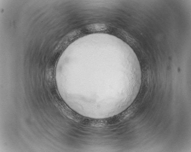 X0000052580373200507292038