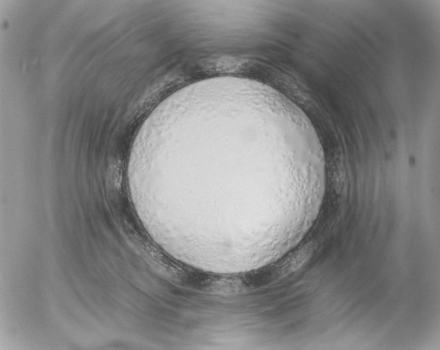 X0000052580374200507292038