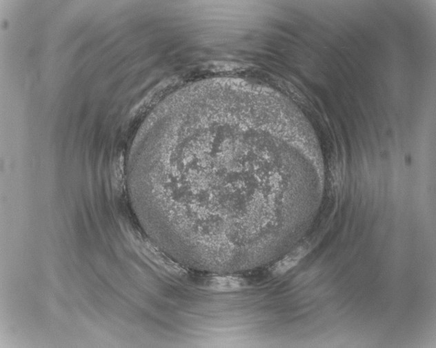 X0000052580376200507292038