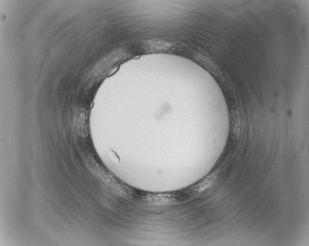 X0000052580378200507292038