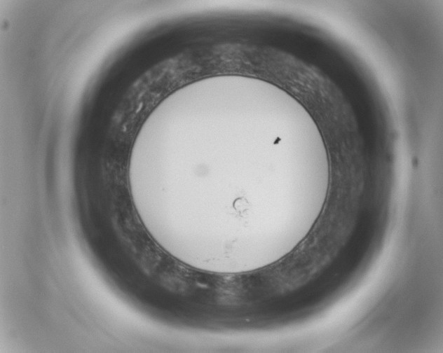 X0000052580382200507292038