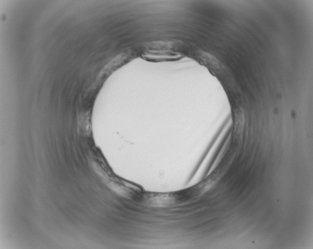 X0000052580383200507292038